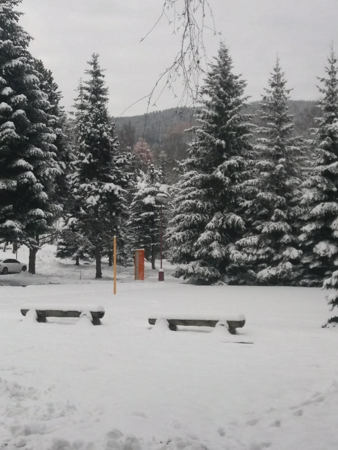 Hotel Ceska Farma Dolni Dvur Exterior photo